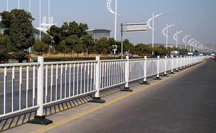 道路護(hù)欄網(wǎng)