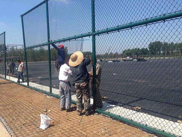 沈陽體育場案例.jpg